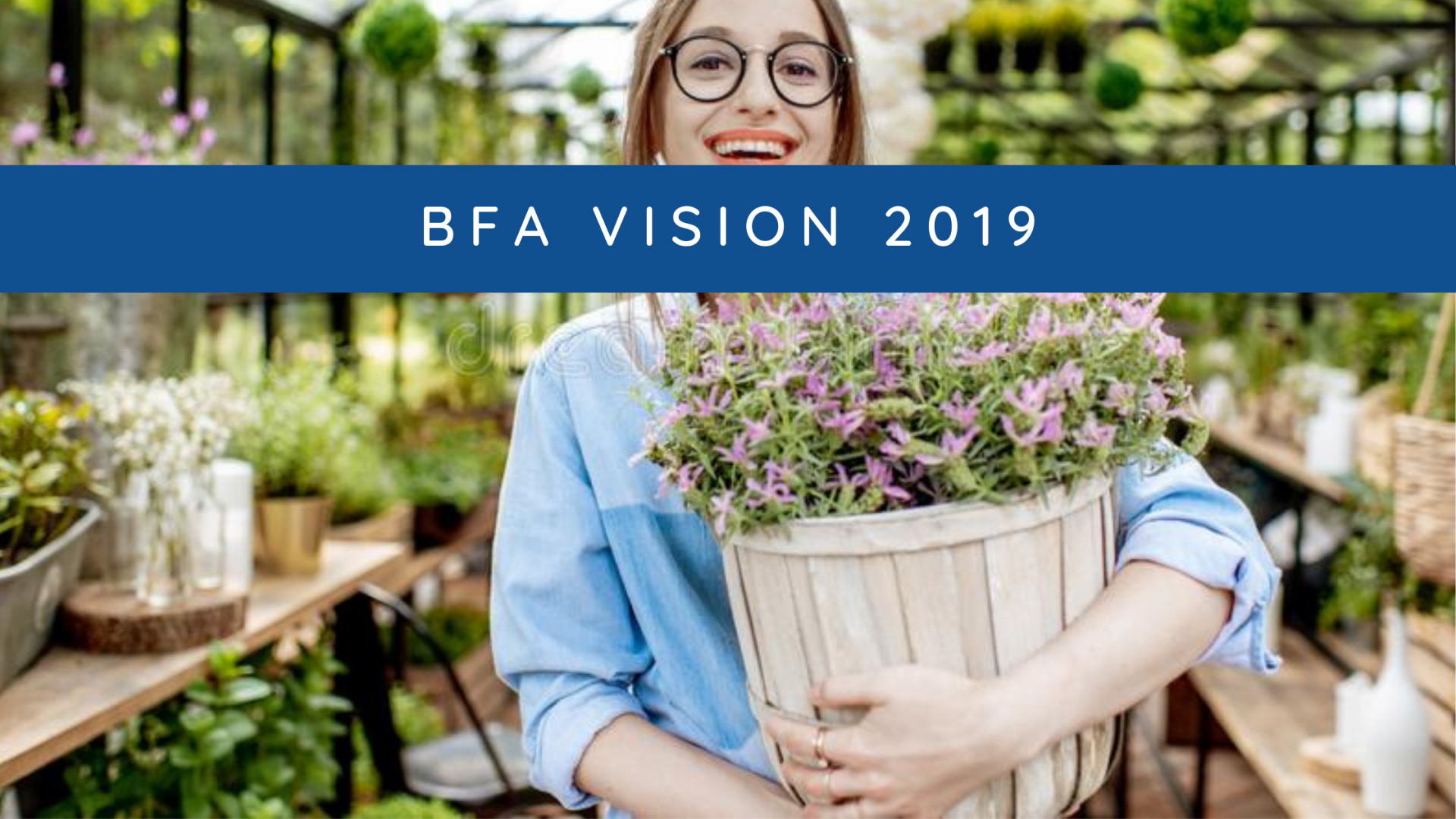 BFA Vision