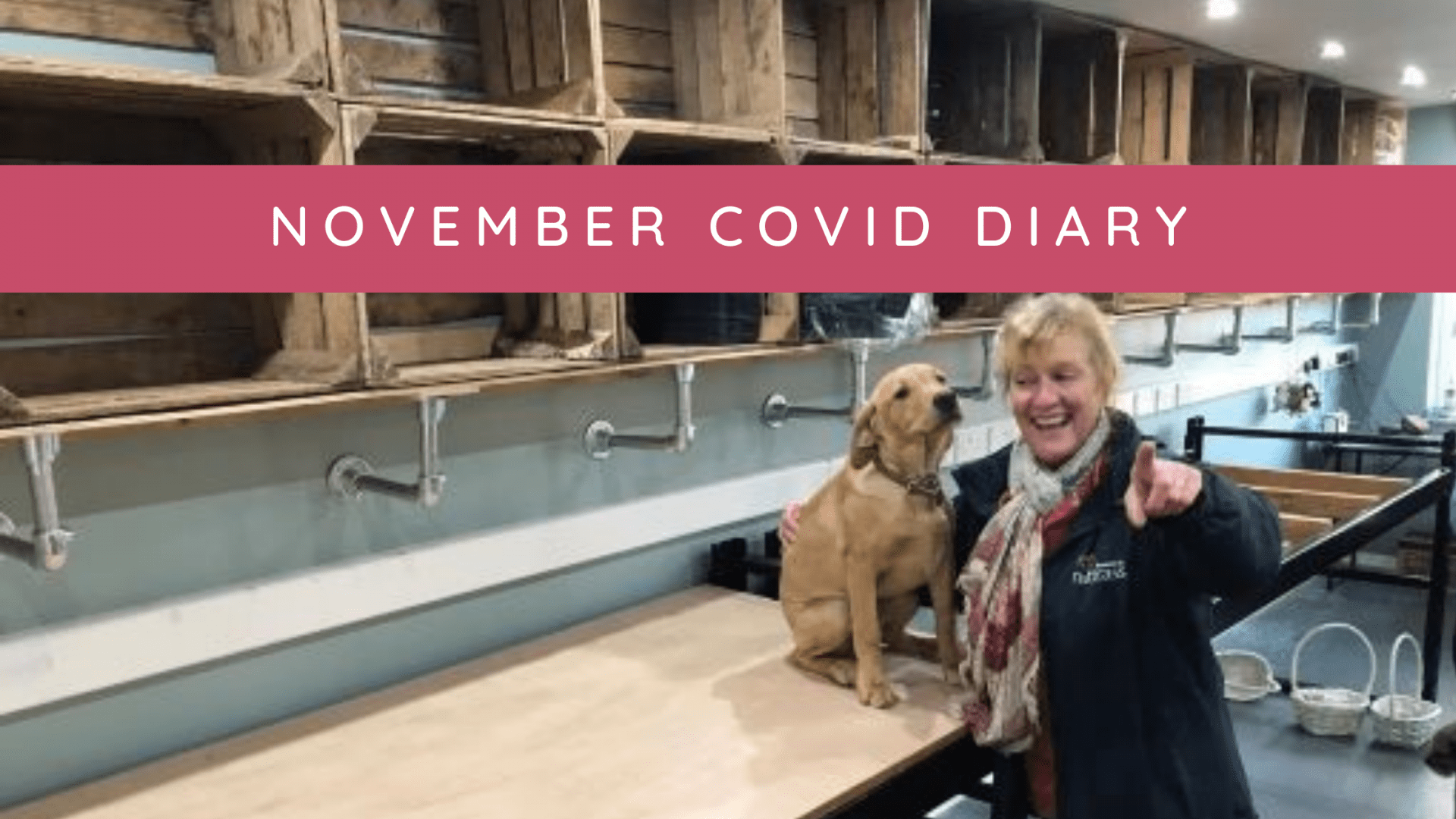 November covid diary