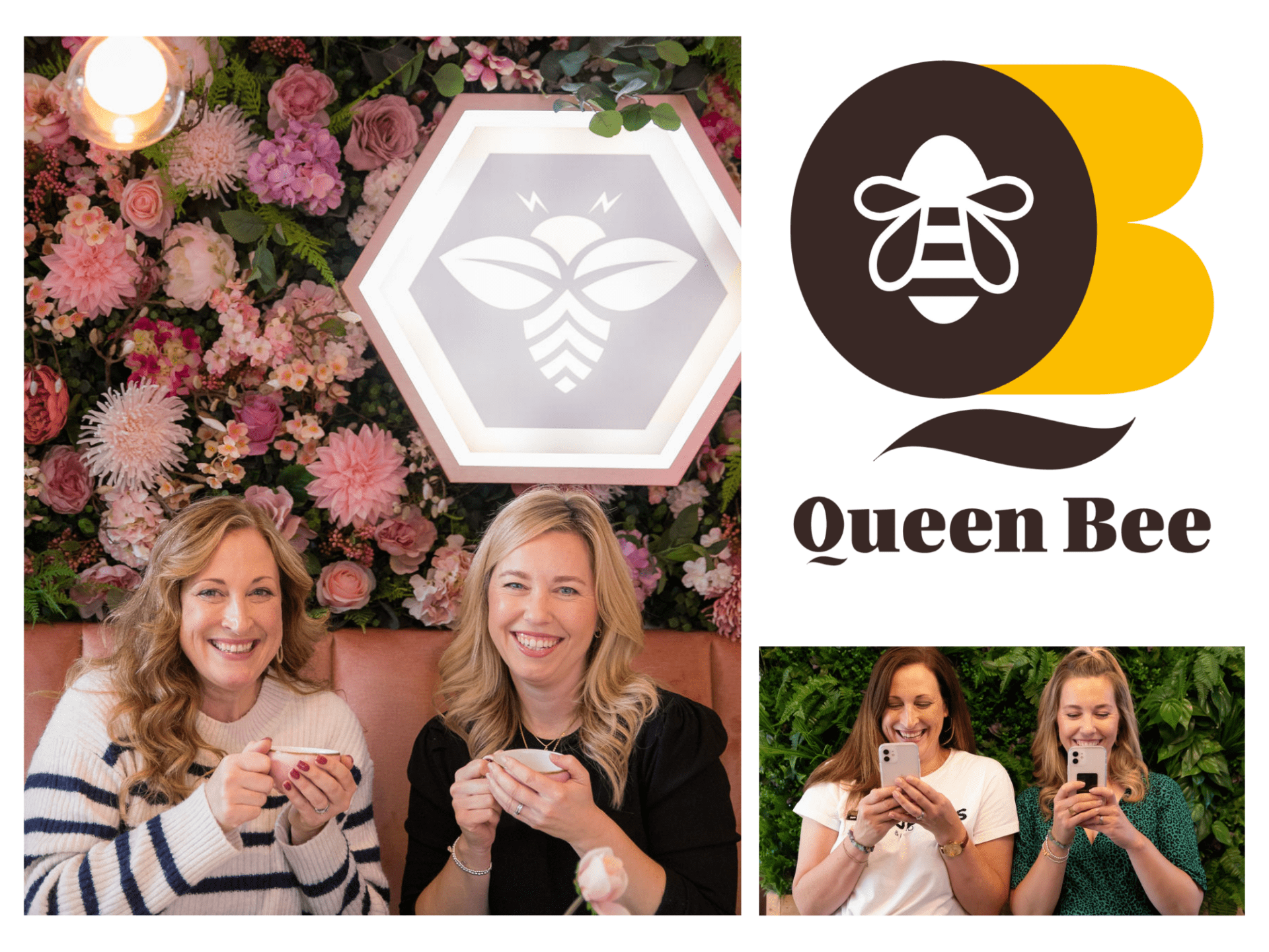 Queen Bee email marketing
